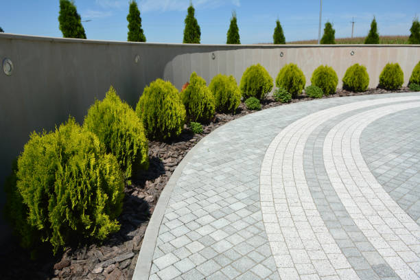 Best Driveway Pavers Near Me  in Timberwood Park, TX